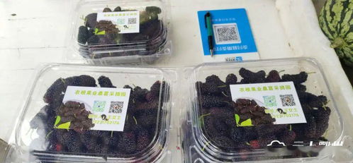 鄂城區食用農產品進入“帶證上市”時代，批發市場安全監管再升級